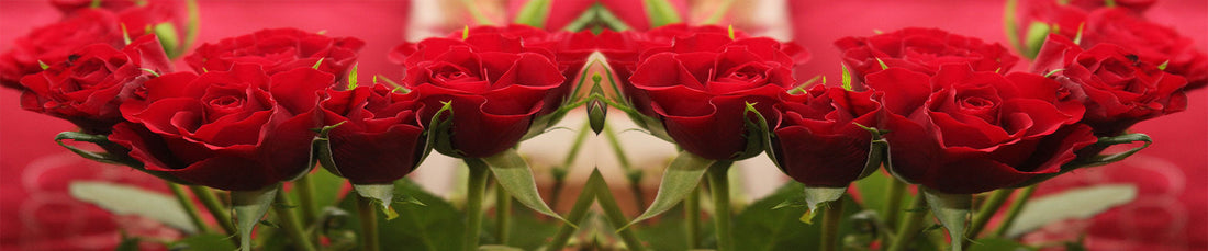 10 Practical Gift Ideas for Mothers