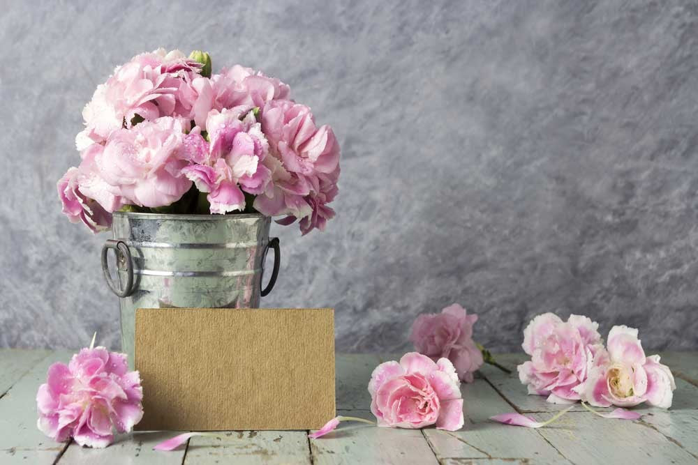 Flower of The Month – January