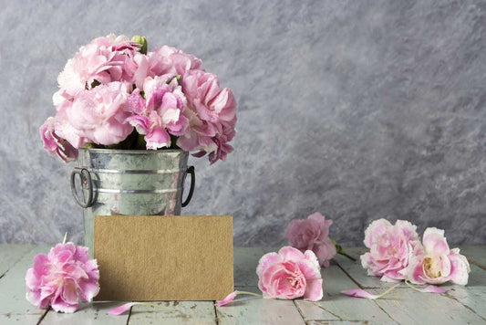 Flower of The Month – January
