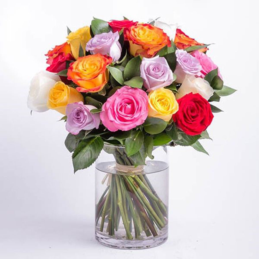 Colourful Roses - Real Flowers Pakistan