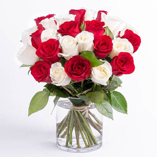 Red & White Roses - Real Flowers Pakistan