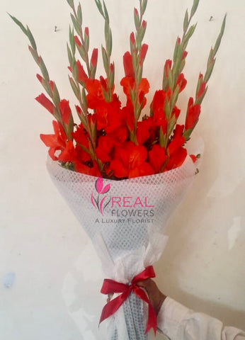 Glowing Red - Real Flowers Pakistan
