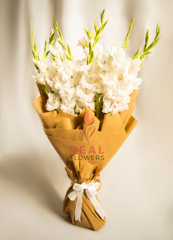 Dozen White Gladiolus - Real Flowers Pakistan