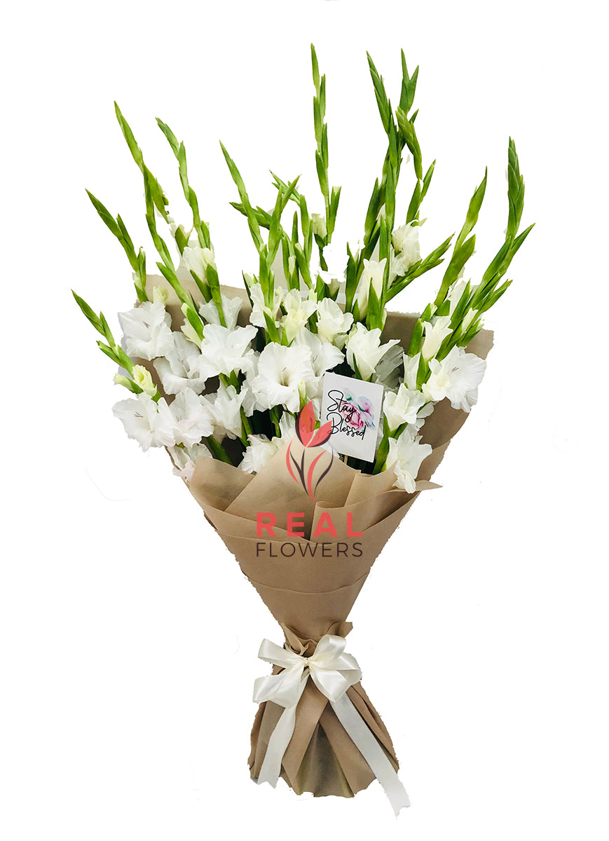 Two Dozen Gladiolus - Real Flowers Pakistan