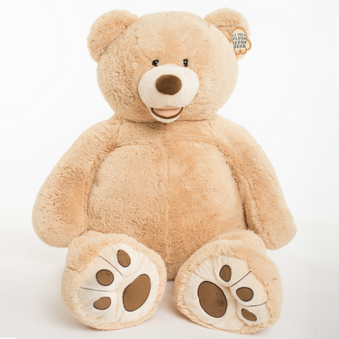 Teddy Bear Large 24 inches - Real Flowers Pakistan