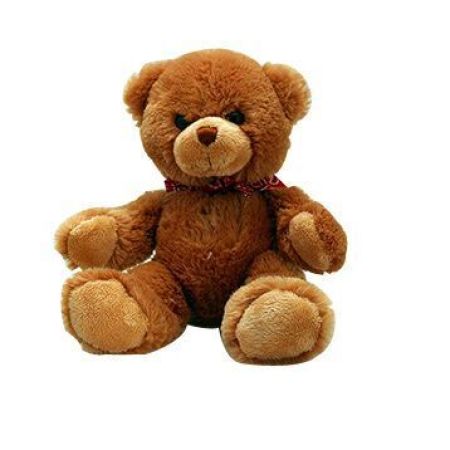 Teddy Bear 18 inches - Real Flowers Pakistan